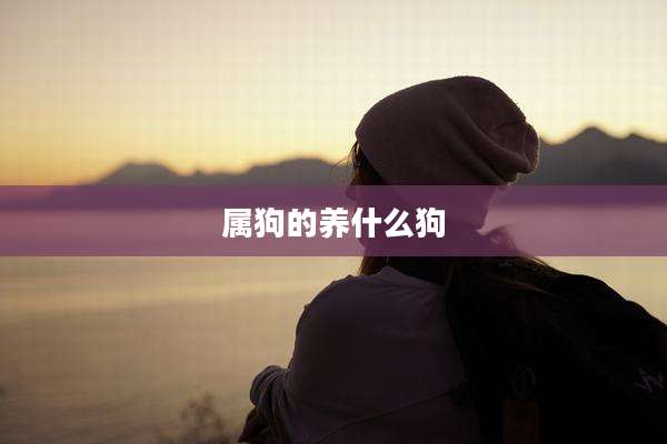 属狗的养什么狗