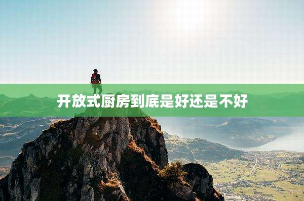 开放式厨房到底是好还是不好