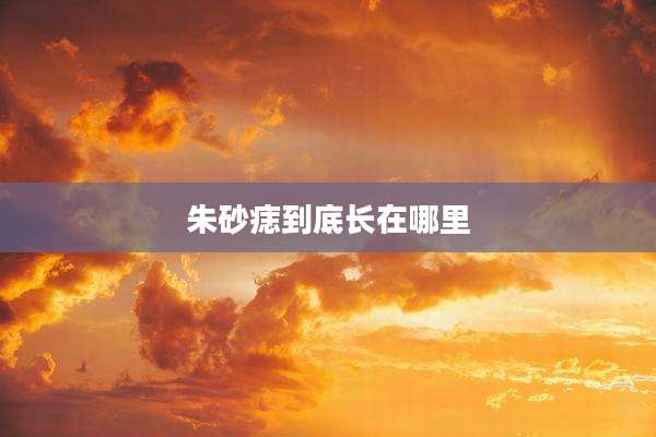 朱砂痣到底长在哪里