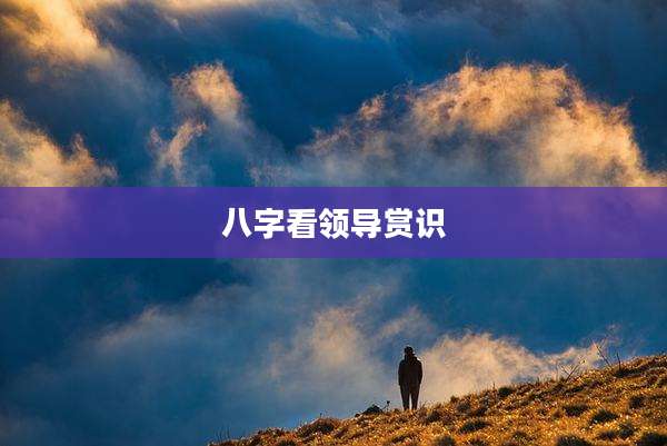 八字看领导赏识