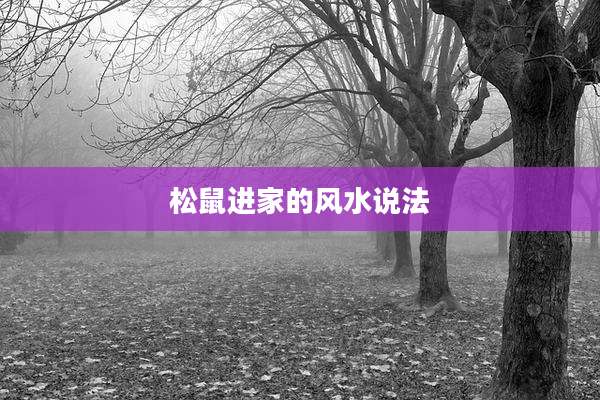 松鼠进家的风水说法