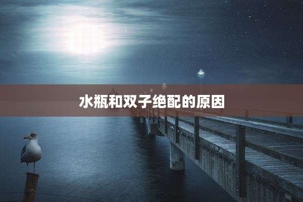 水瓶和双子绝配的原因