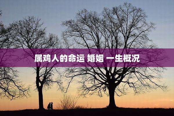 属鸡人的命运 婚姻 一生概况