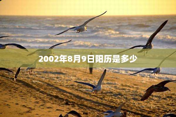 2002年8月9日阳历是多少