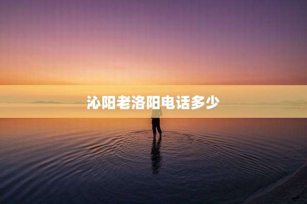 沁阳老洛阳电话多少