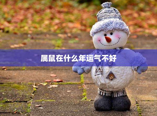 属鼠在什么年运气不好
