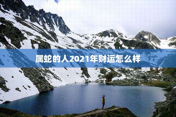 属蛇的人2021年财运怎么样
