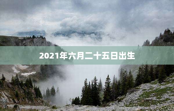 2021年六月二十五日出生
