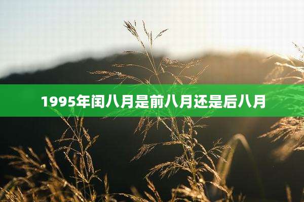 1995年闰八月是前八月还是后八月