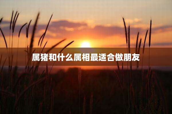 属猪和什么属相最适合做朋友