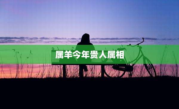 属羊今年贵人属相