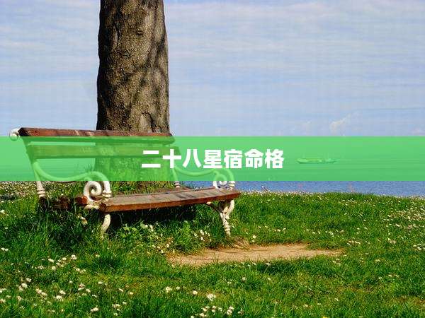 二十八星宿命格