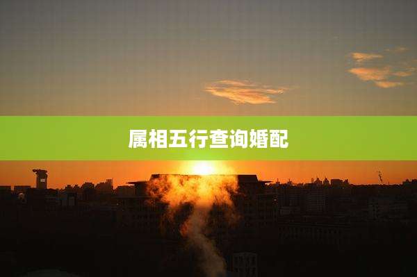属相五行查询婚配