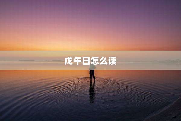 戊午日怎么读
