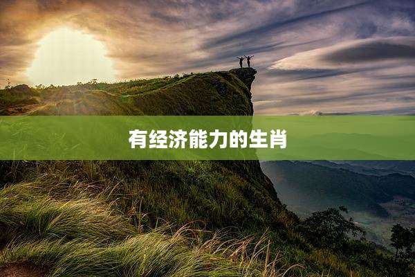 有经济能力的生肖