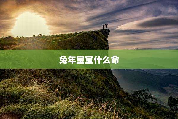 兔年宝宝什么命