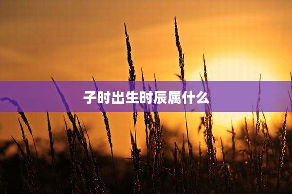 子时出生时辰属什么