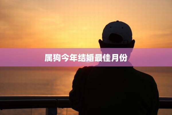 属狗今年结婚最佳月份