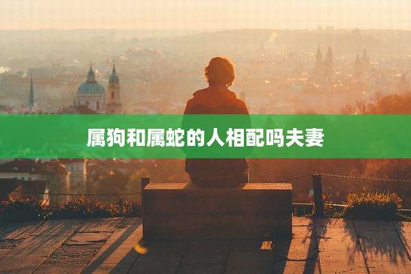 属狗和属蛇的人相配吗夫妻