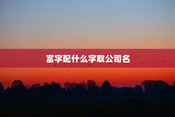 富字配什么字取公司名