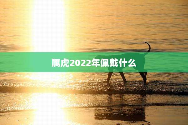 属虎2022年佩戴什么