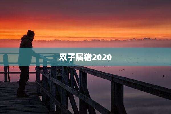 双子属猪2020