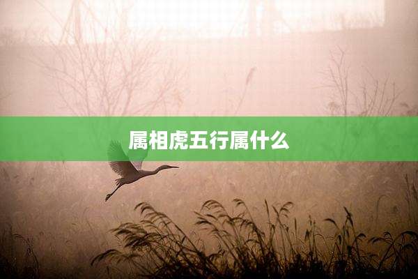 属相虎五行属什么