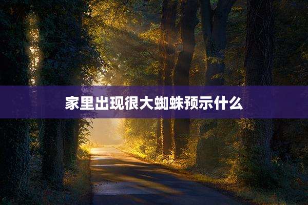 家里出现很大蜘蛛预示什么
