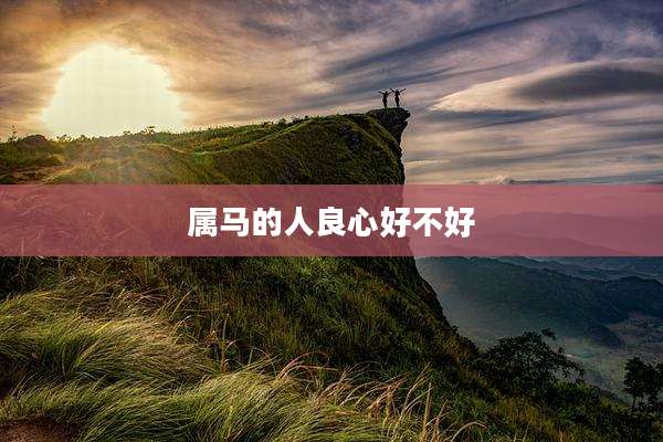 属马的人良心好不好