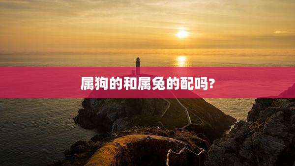 属狗的和属兔的配吗?