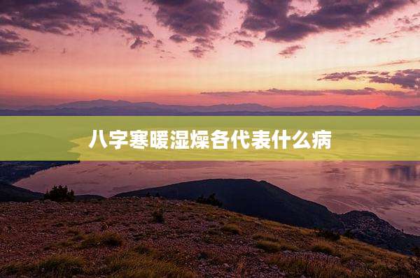 八字寒暖湿燥各代表什么病