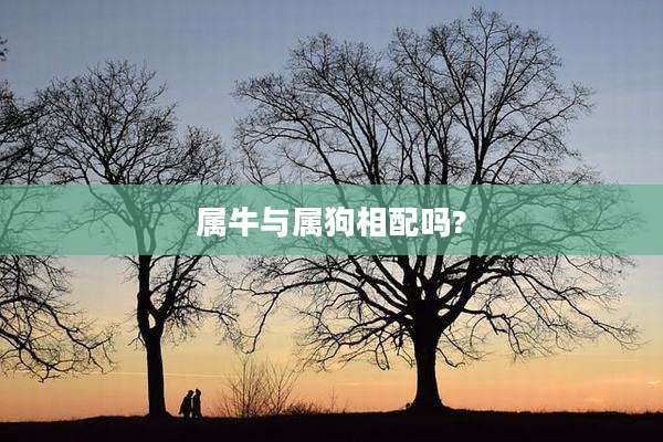 属牛与属狗相配吗?