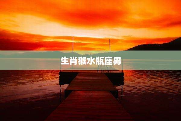 生肖猴水瓶座男