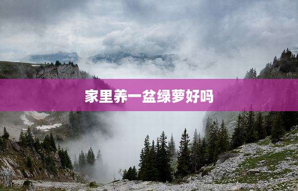 家里养一盆绿萝好吗