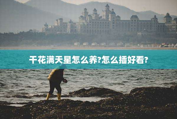 干花满天星怎么养?怎么插好看?