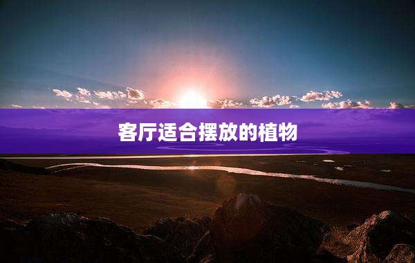 客厅适合摆放的植物