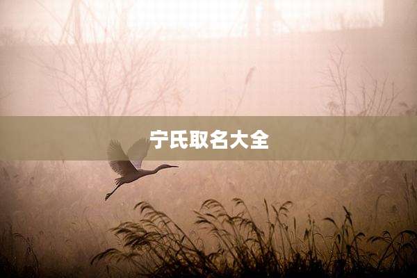 宁氏取名大全