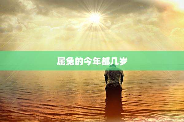 属兔的今年都几岁