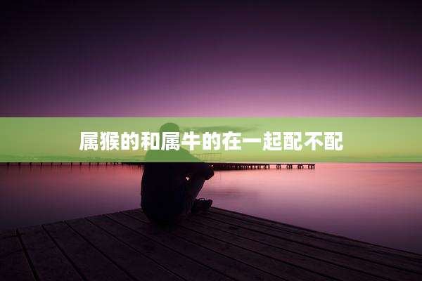 属猴的和属牛的在一起配不配
