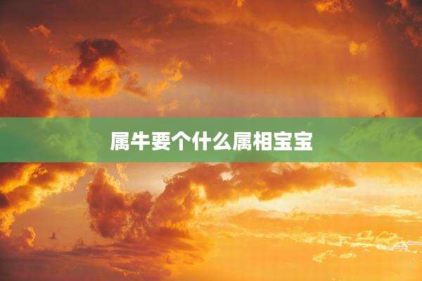 属牛要个什么属相宝宝