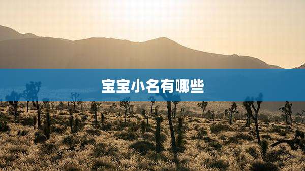 宝宝小名有哪些