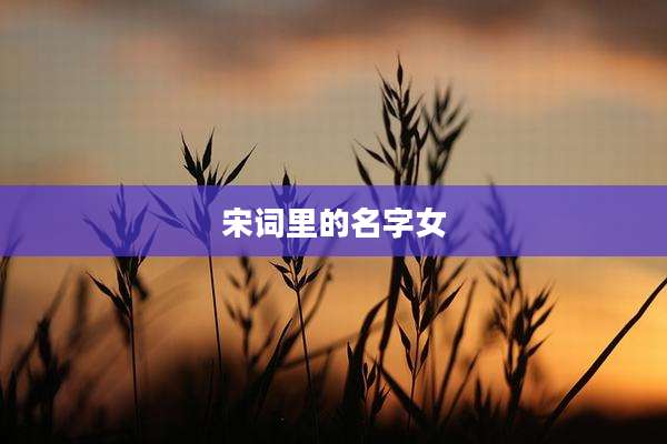 宋词里的名字女