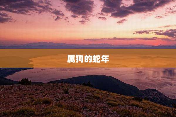 属狗的蛇年