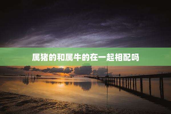 属猪的和属牛的在一起相配吗
