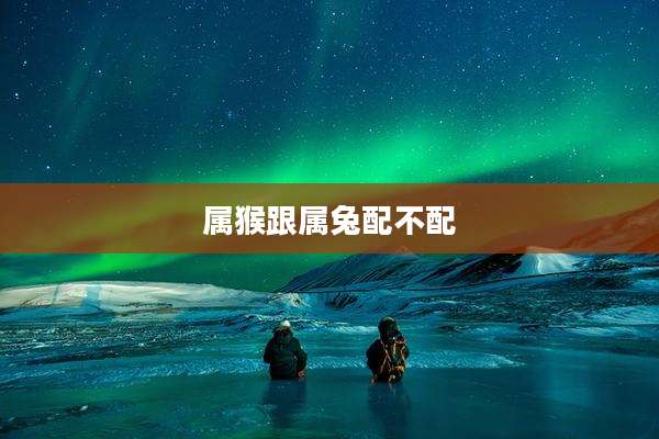 属猴跟属兔配不配
