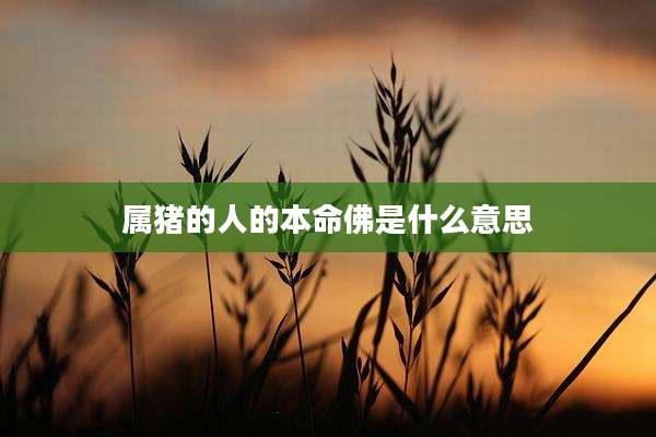 属猪的人的本命佛是什么意思