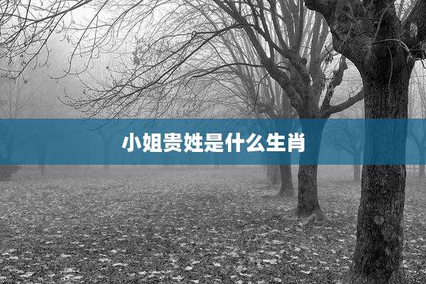 小姐贵姓是什么生肖