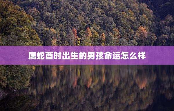 属蛇酉时出生的男孩命运怎么样