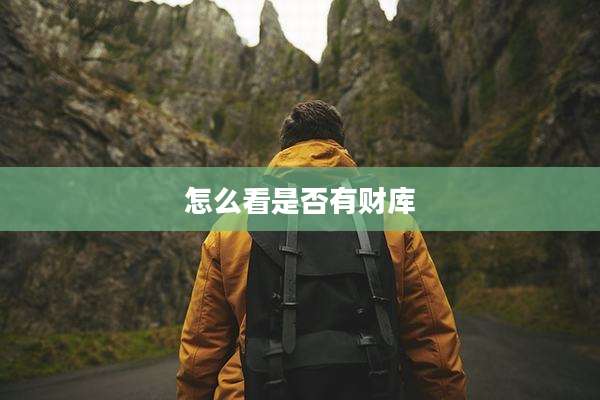 怎么看是否有财库