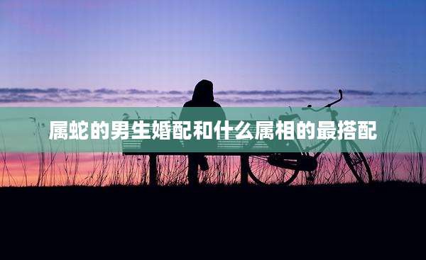 属蛇的男生婚配和什么属相的最搭配